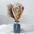 Buquê de Capim dos Pampas Natural para Decoração de Ambientes Lenogue