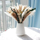Buquê de Capim dos Pampas Natural para Decoração de Ambientes Lenogue