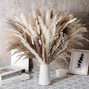 Buquê de Capim dos Pampas Natural para Decoração de Ambientes Lenogue