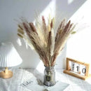 Buquê de Capim dos Pampas Natural para Decoração de Ambientes Lenogue