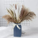 Buquê de Capim dos Pampas Natural para Decoração de Ambientes Lenogue