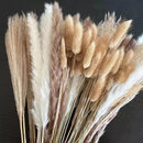 Buquê de Capim dos Pampas Natural para Decoração de Ambientes Lenogue