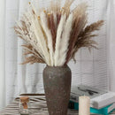 Buquê de Capim dos Pampas Natural para Decoração de Ambientes Lenogue
