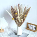 Buquê de Capim dos Pampas Natural para Decoração de Ambientes Lenogue