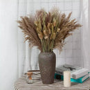 Buquê de Capim dos Pampas Natural para Decoração de Ambientes Lenogue