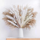 Buquê de Capim dos Pampas Natural para Decoração de Ambientes Lenogue