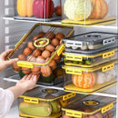 Organizador de Geladeira Transparente com Marcador de Data para Alimentos Lenogue