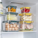 Organizador de Geladeira Transparente com Marcador de Data para Alimentos Lenogue